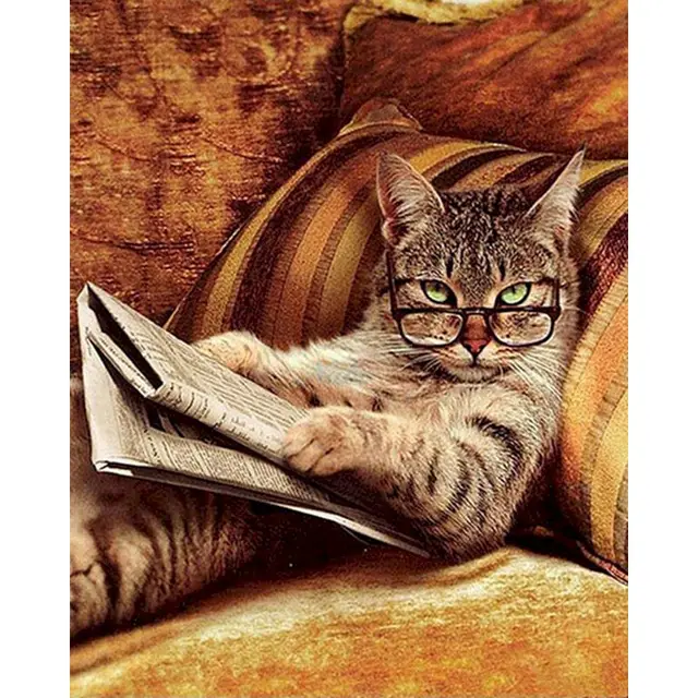 Relaxing Cat Color by Number Painting Kit 15