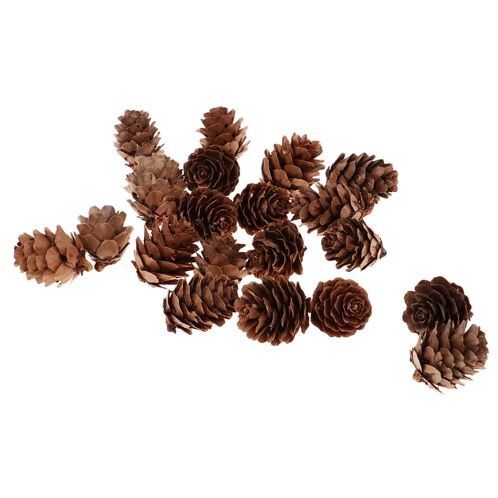 20pcs 2.5x3cm Small Pine cones Decorative Pine Cones Festival Vase Filler Snow White Christmas Tree pendants 