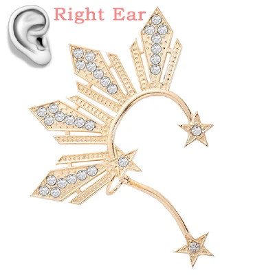 Gold E0170G Серебряные серьги-Крючки в виде листьев для женщин, аксессуары, милые полые серьги в виде листьев, модные ювелирные изделия, 1 шт., серьги в виде правого уха, подарки - Окраска металла: Gold E0170G
