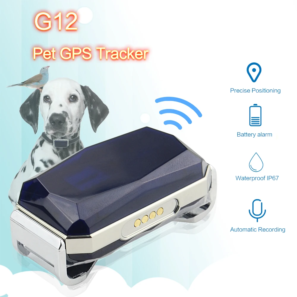 Cute Dog gps трекер G12 для домашних животных Отслеживание в реальном времени водонепроницаемый IP67 двусторонний разговор LBS+ gps+ Wi-Fi расположение гео-забор бесплатное приложение