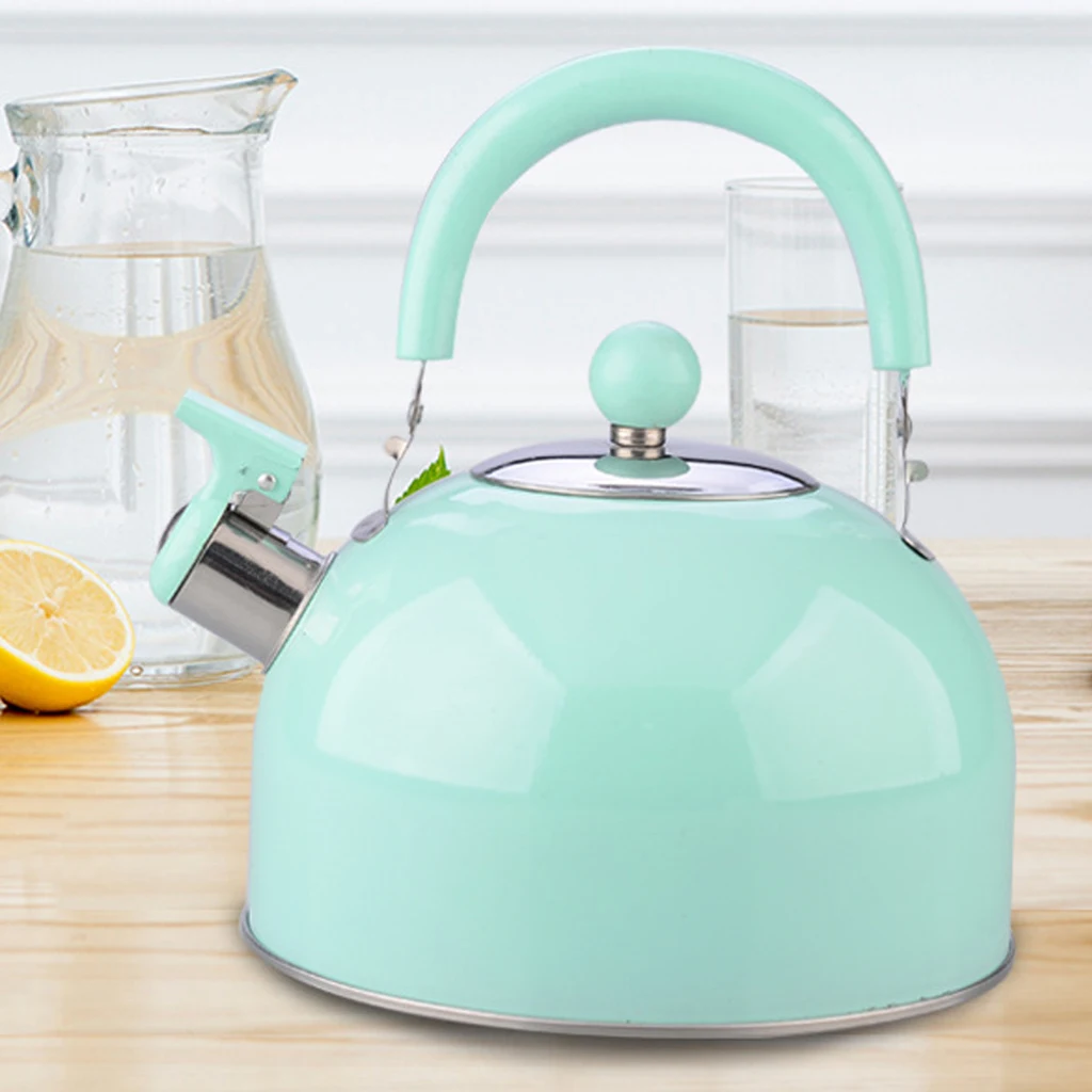 2.5L чайник из нержавеющей стали с крышкой, чайник для дома, вечерние, кухни, кемпинга, пикника, путешествия-серебристый/зеленый на выбор