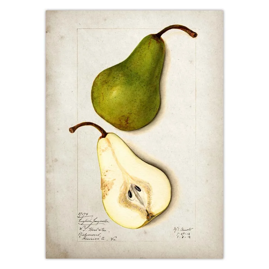 H04253f8a8fe249cc932a347d968052a84