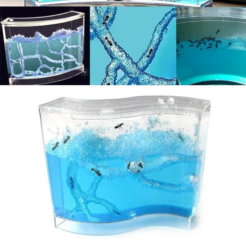 

for Live Ants Ant Farm 73 * 32 * 78mm Pet Educational Educational Sand and Voucher House Fun Ant Terrarium Children Gifts Toy