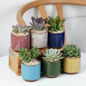 

Ice Crack Flowerpot Mini Small Succulent Flower Holder Creative Desktop Small Pots Ice Crack Colorful Zhuo Surface Combination G