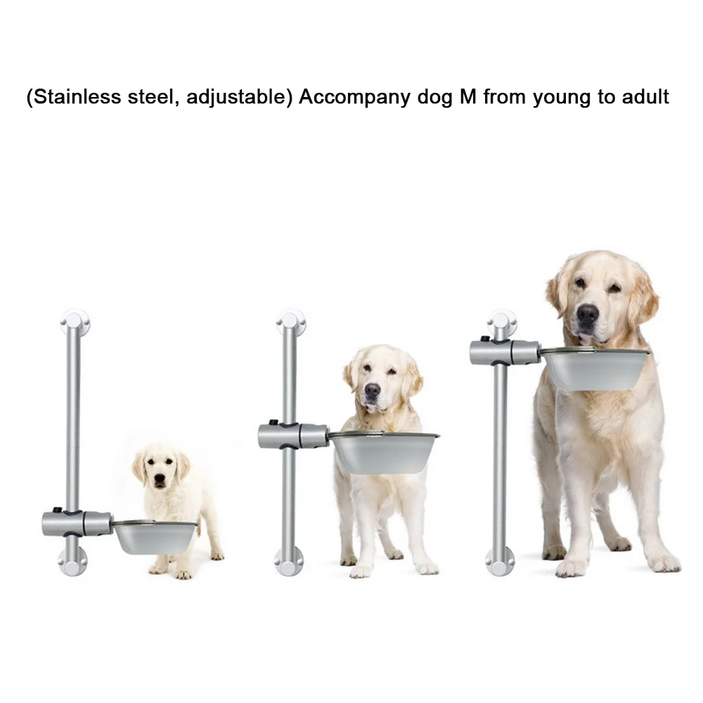 Alimentação p/ cães