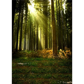 

Forest Dream Photography Background Photo Backdrops For Studio Photos Props Photography Background 2020