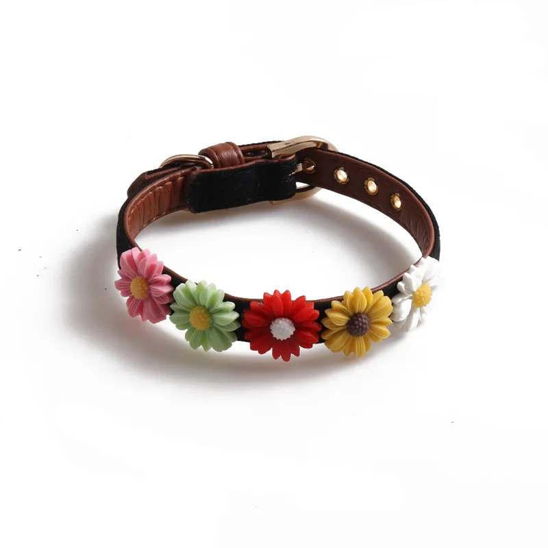 12372574521_307791824