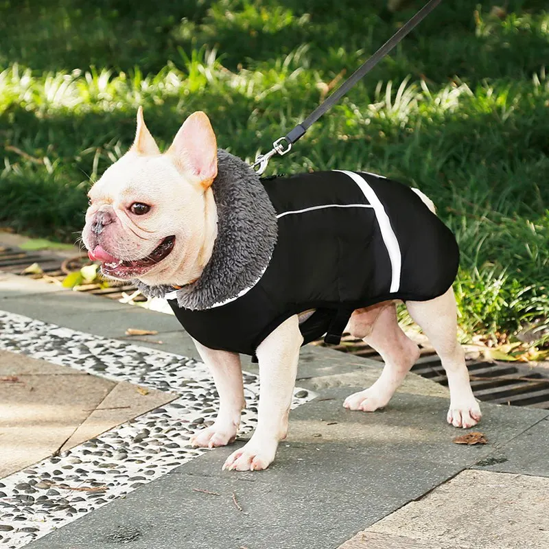 Jacket Reflective Costume Pet Dog Outdoor Coats Puppy Dog Outdoor Walking Leash Buckle Ring Pet Winter Warm Dog Clothes Autumn