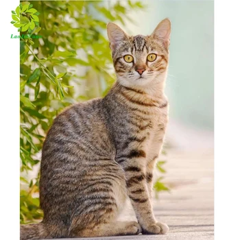 

F5D DIY Full Square Diamond Painting Painting Cartoon Animals Cats Mosaic Embroidery Cross stitch Embroidery Crafts Decoration