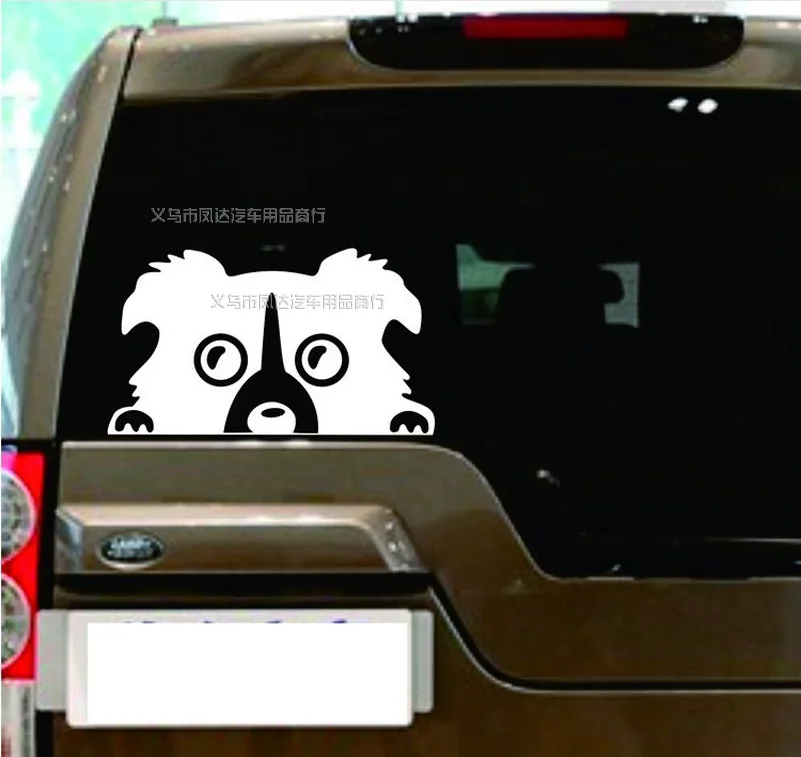 S063 импортные товары Pet Dog Border Collie бампер наклейки Pet Dog Border Collie отражательный бампер наклейки