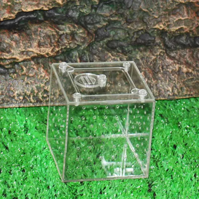 Квадратная коробка для разведения домашних животных акриловая прозрачная муравьиная паук насекомое ферма просмотр Террариум для рептилий уникальные подарки