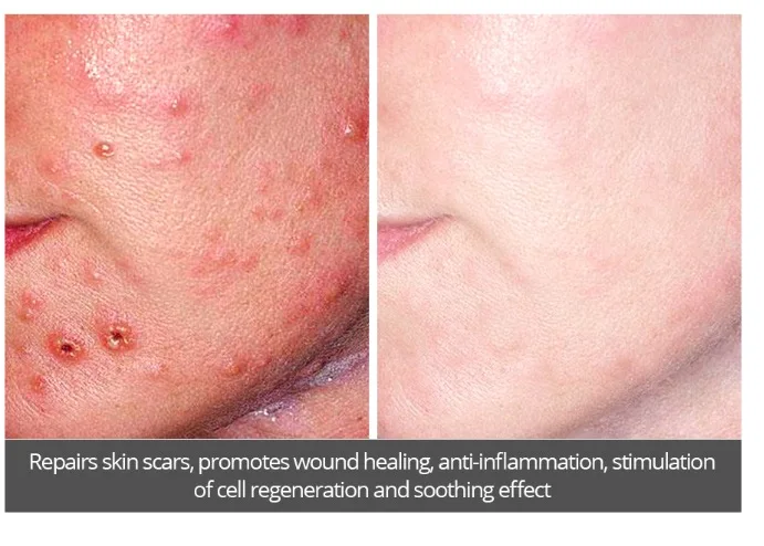 屏幕快照 2019-12-25 上午10.33.35