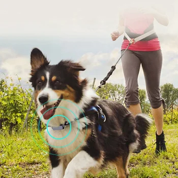 

Pet Smart LocatorTracking Collar For Dogs Cats Smart Tracking Collar Real Time Activity Monitor Positioning Device