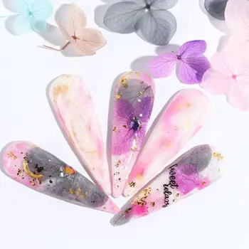 

DIY Nail Art Filler Popular Dry Eternal Flowers Beauty Nails Large Applique Decorative Jewelry Crafts Making Epoxy Filling