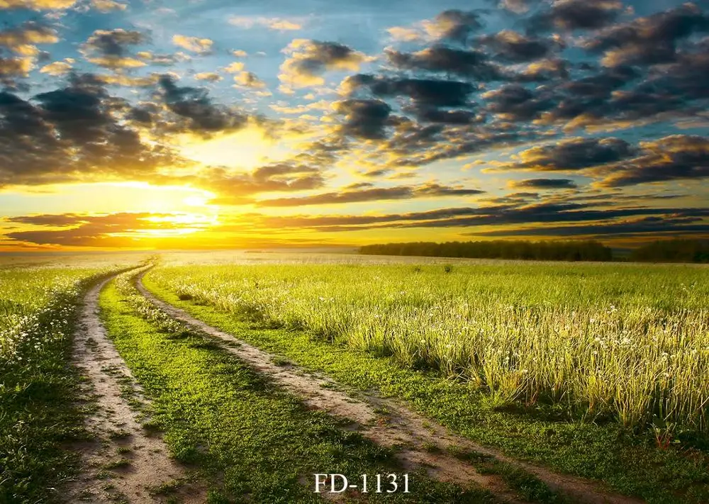 The setting sun sets the wheat field spring countryside scenery photography background work props | Электроника