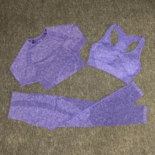 Бесшовная спортивная одежда, женская спортивная одежда, комплект для йоги, леггинсы с высокой талией+ спортивный бюстгальтер+ Топ с длинным рукавом для фитнеса, женский топ из 3 предметов