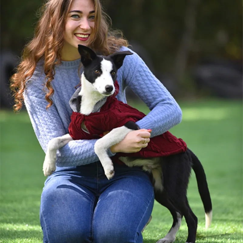 Свитер с капюшоном для домашних собак, одежда для осени и зимы, теплая Толстая Классическая Толстовка, Однотонный свитер для маленьких и средних собак