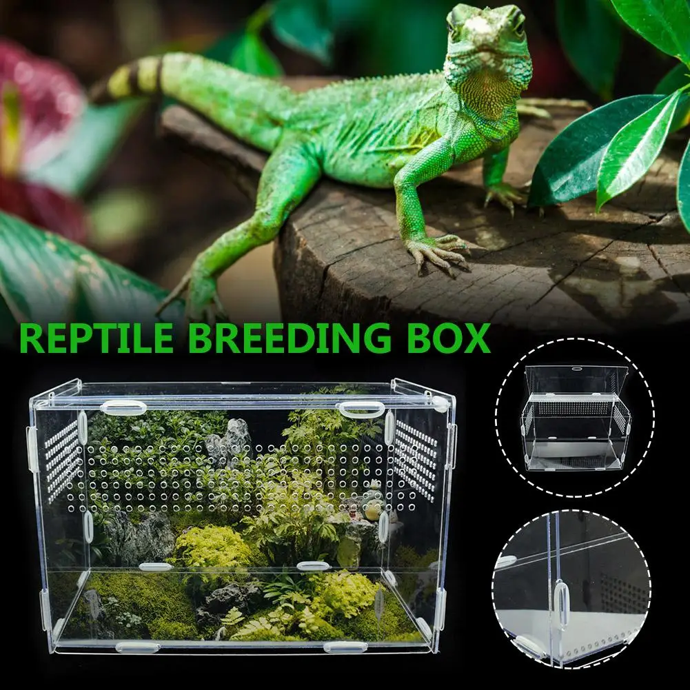 Reptile Breeding Box Transparente, Caixa De Alimentação