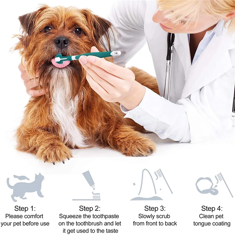 Dog Teeth Cleaning Tools