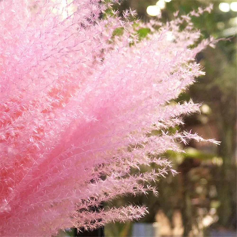 20шт натуральный светильник розовый Свадебные пампасы цветы маленькие пампасы трава букеты Натуральные Сушеные камышовые цветы Букеты