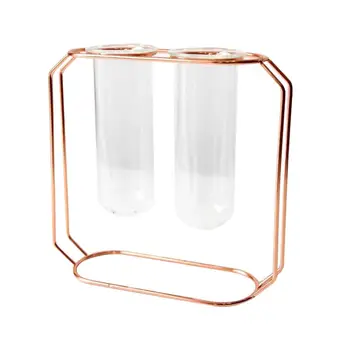 

1Pc Glass Tube Vase Hydroponics Planter Green Plant Container Metal Rack Flower Tube For Home Office (Double Tubes)