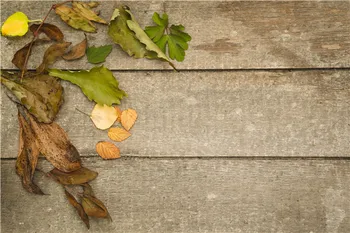 

Vinyl Custom Photography Backdrops Props Flower and Wood planks theme Photo Studio Background 20027-1566