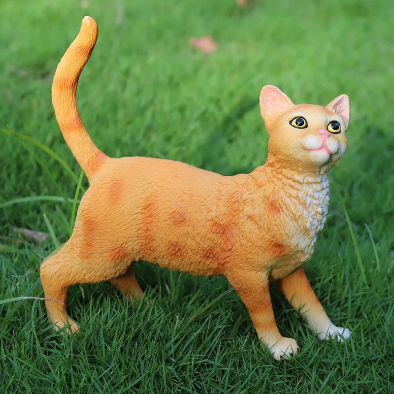 PL127-1103超大黄猫