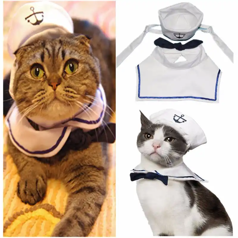 dog sailor outfit