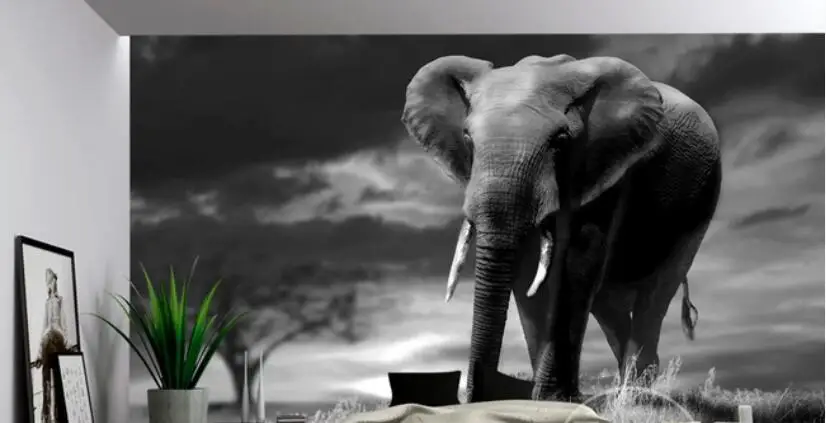 QQ截图20200627160637