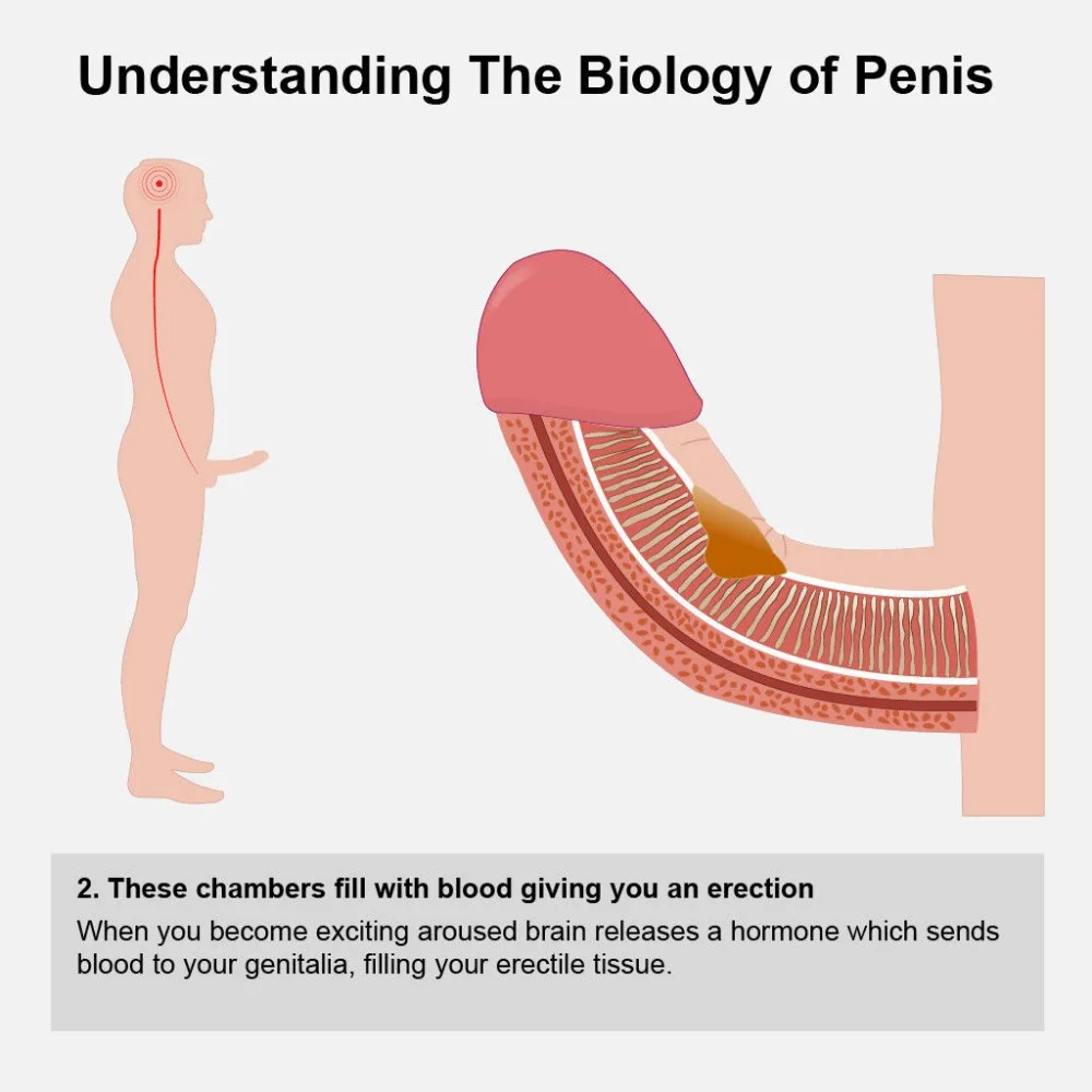 HTB1TQvESgHqK1RjSZFEq6AGMXXaz