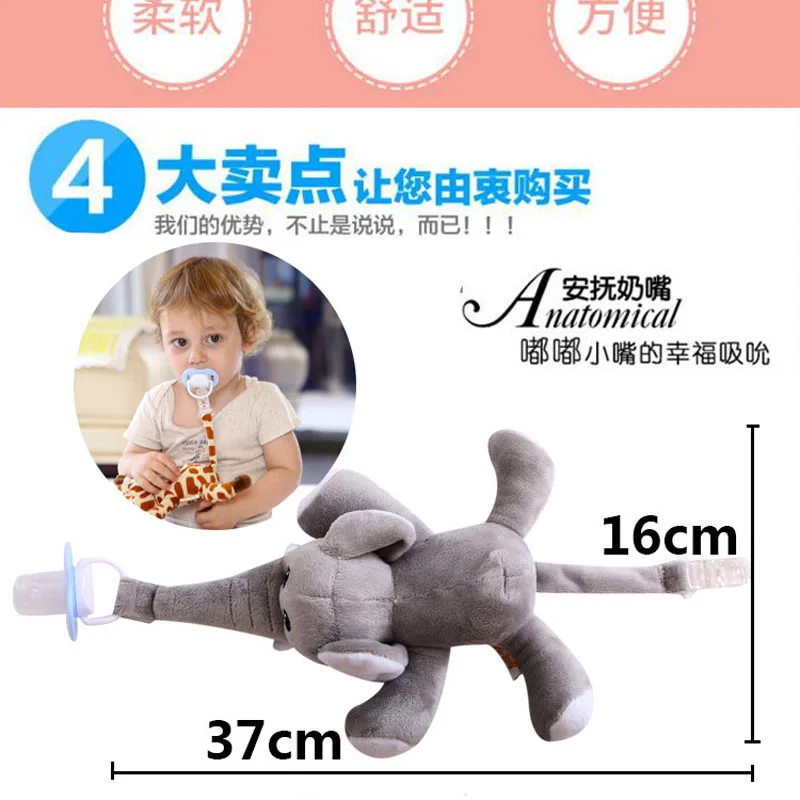 4224849556_792922392