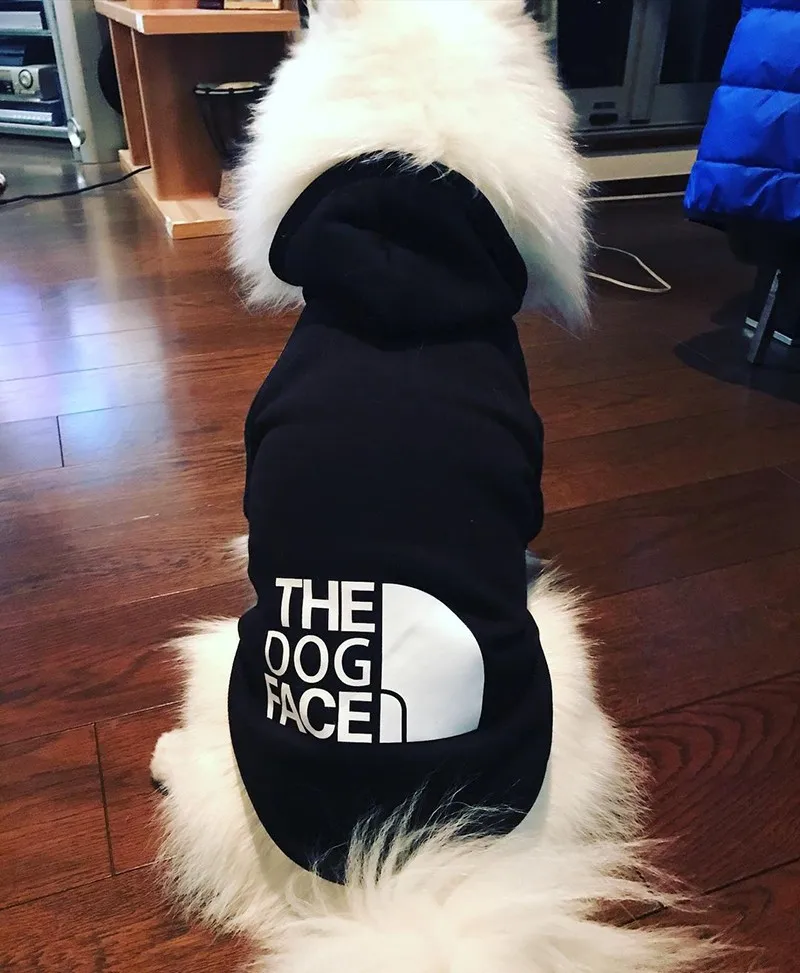 trendy dog hoodie