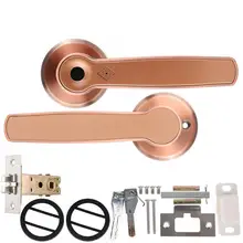 Купольный замок с отпечатком пальца, биометрический отпечаток пальца, цинковый сплав, умная ручка, засов, электронный дверной замок без ключа, умный дверной замок