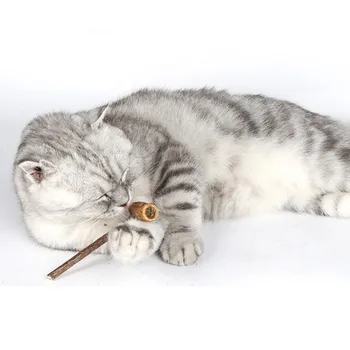 

Kitten Chew Stick Pipe Shaped Natural Catnip Molar Cleaning Teeth Silvervine Pet Toyshot