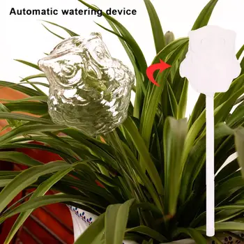 

Beautiful Automatic Watering Device Garden Owl Shape Durable Irrigation Glass Self Watering Novel Flowers Home Decoration
