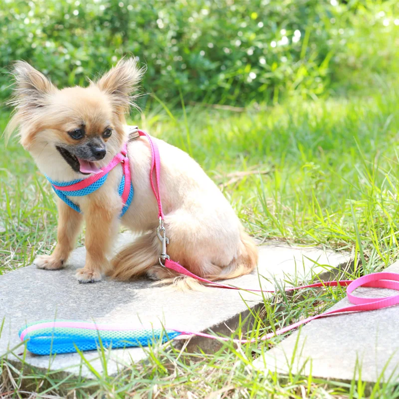 Шлейка и поводок для собак регулируемая дышащая мягкая сетчатая шлейка средних