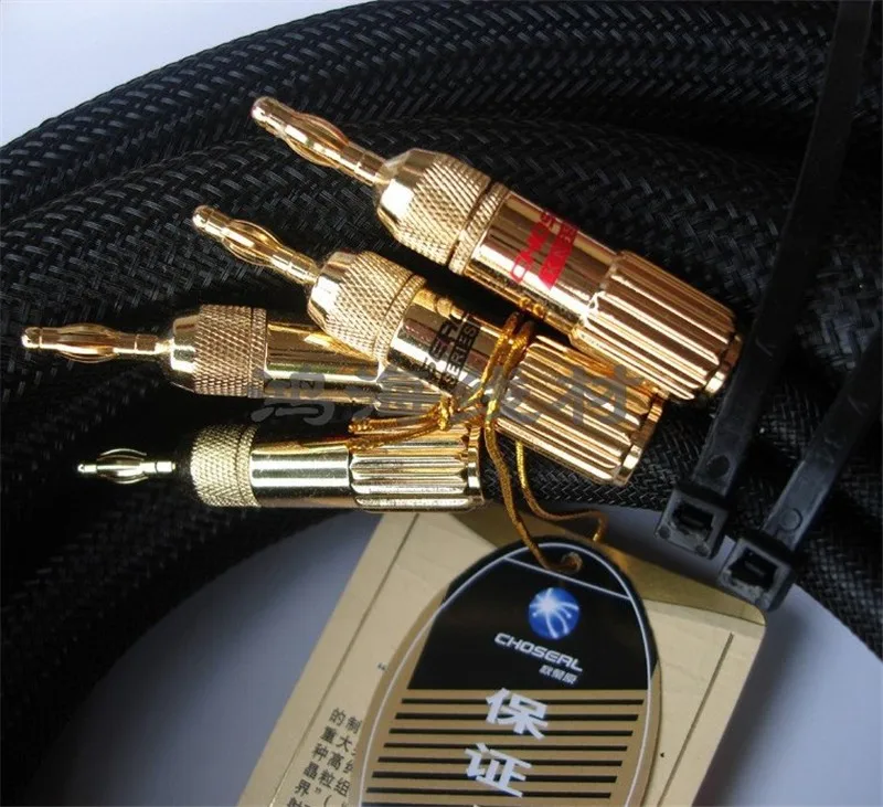 Высококлассный hi Fi кабель для динамика Choseal LA 5101 6N OCC 24K позолоченный Банановый