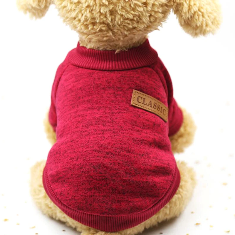 HTB1wKIdKeuSBuNjSsziq6zq8pXag