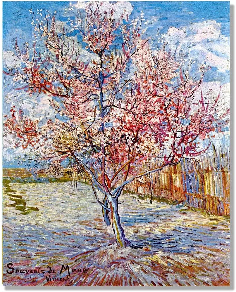 81d31973sjL._AC_SL1193_