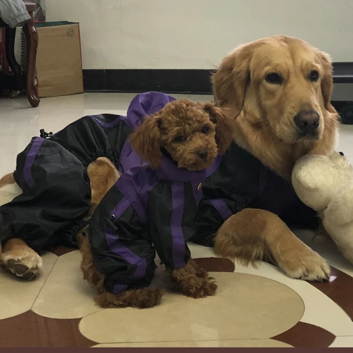Pet Одежда с принтом в виде собак для снега и дождя; зимние пальто Водонепроницаемый плащи 4 ноги плащ для маленьких, средних и больших собак TB распродажа