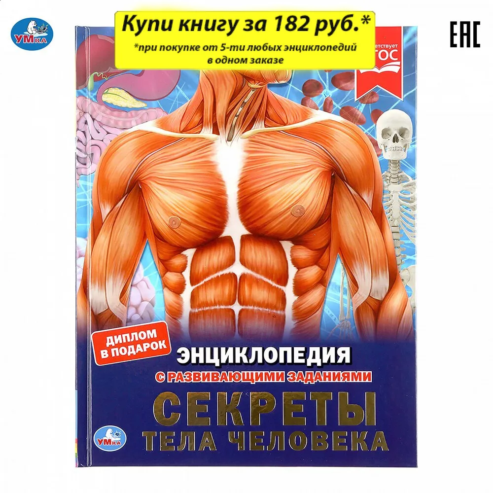 Энциклопедия Умка Секреты тела человека (с развивающими заданиями) твердый