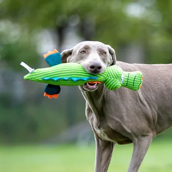 

Gui Wei's Orchidpets Okai Wizard of Oz Gorilla