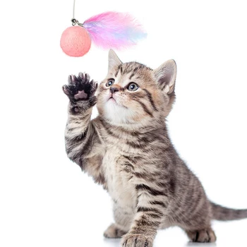 

Pet Cat Toy Interactive Teaser Wand With Ball Feather Toys Replaceable Retractable Elastic String KittenToy Cats ProductsHOT