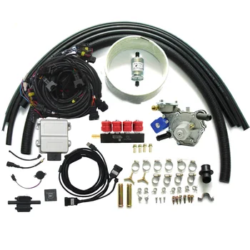 

Propane LPG Sequential Injection System with Self-adaption Function for 3 or 4 Cylinders Gasoline Fuel Injected Vehicle