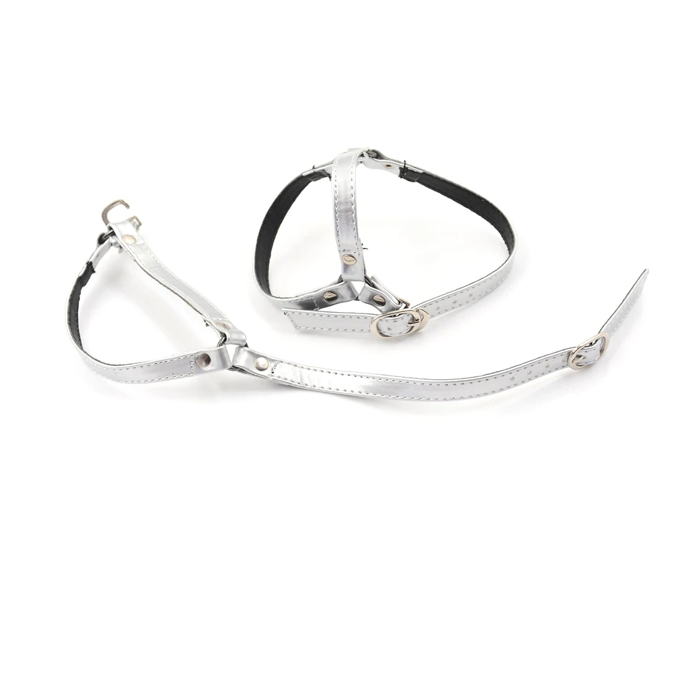 1Pair Women PU Leather Shoes Belt Lace Band for Holding Loose High Heels Creative Design Convenient Ankle Shoe Tie Lady Strap - Color: Silver