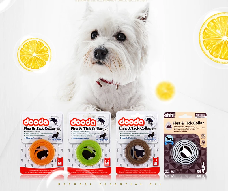 TB2_zMTHbuWBuNjSszgXXb8jVXa_!!2249369227