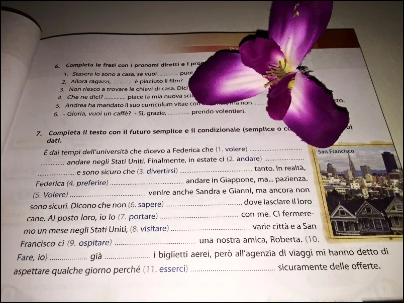 2 книги Progetto Italiano книга 2 промежуточный нулевой старт быстро-форма итальянский самообучаемый учебник итальянский Учебник+ упражнения