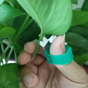 

Tomato Cucumber Grape Harvesting Gardening Tools Blade Cutting Scissors Fruit Picking Ring Vegetable Picking Ring