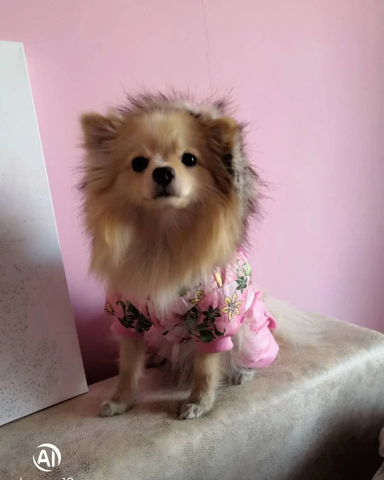 Ua4815b93fdb44a5dbac7f70db57826b4P