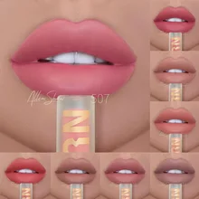 Wholesale Lipgloss Lipstick Allen Shaw Matte Lip Gloss No Stain on Cup European and American Lip Gloss Lip Gloss Bulk Liptint